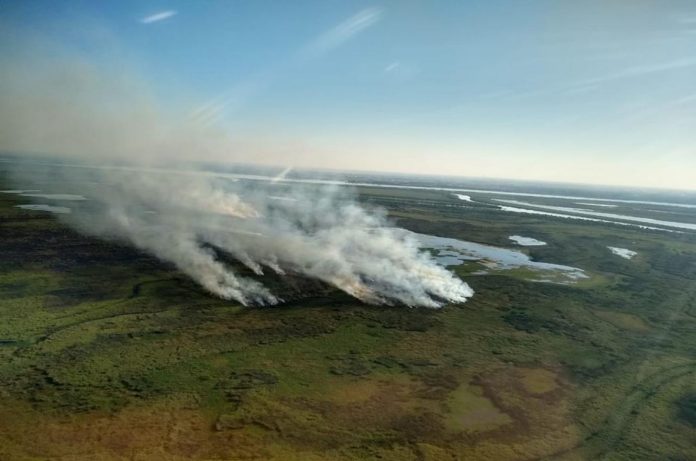 Desde enero se incendiaron 5.642 hectáreas